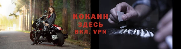 PSILOCYBIN Каменск-Шахтинский