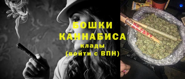 PSILOCYBIN Лиски
