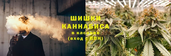 2c-b Инта