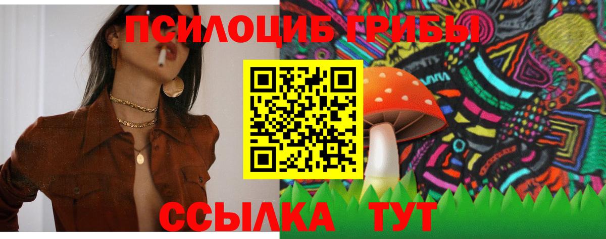 Кунгур  Псилоцибиновые грибы Cubensis  Вход с VPN 